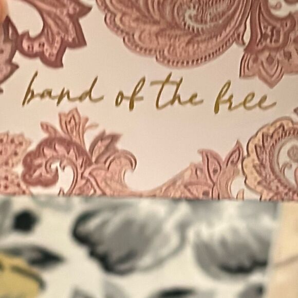 Band Of The Free Women's XS Girl Crush Velvet Midi Slip Dress Black Bow Back - Picture 14 of 14